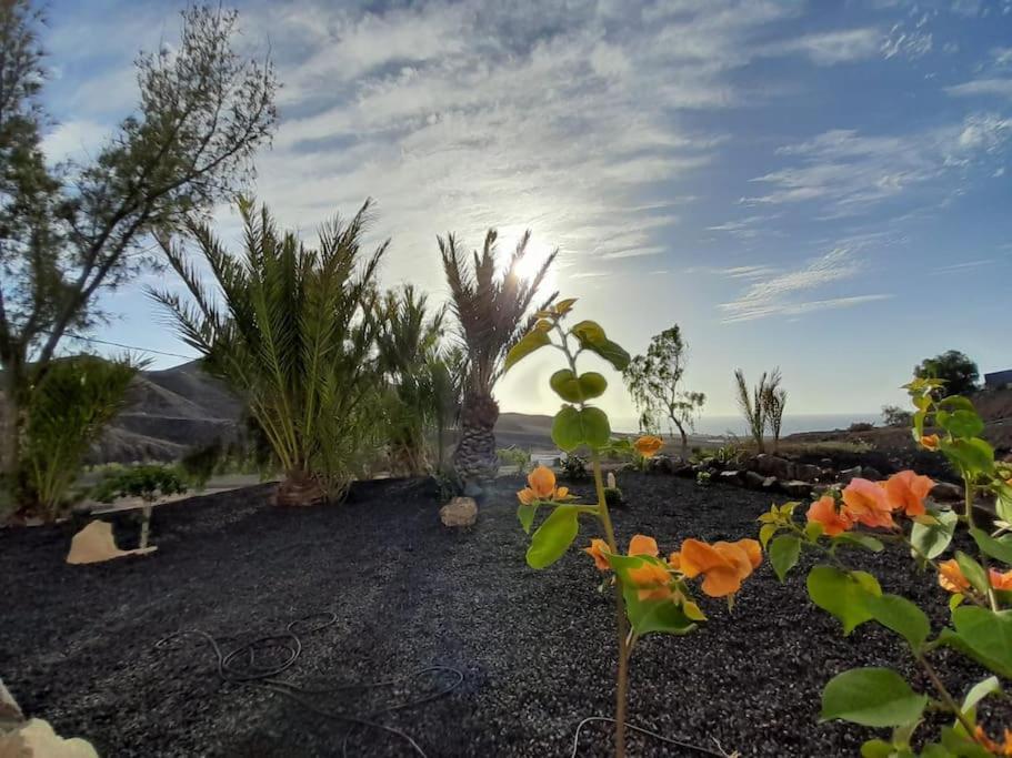 Villa Casagrande Sunset II - Fuerteventura - Costa Calma Pájara Exterior foto